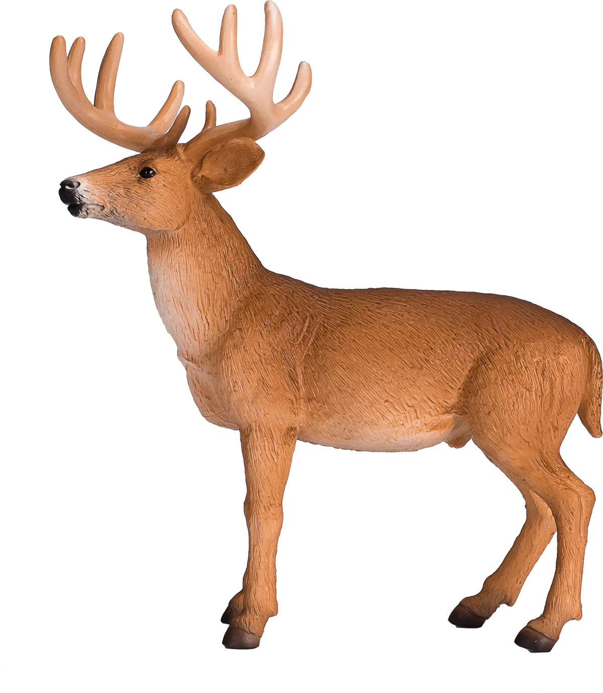 Mojo Red Deer - image 1