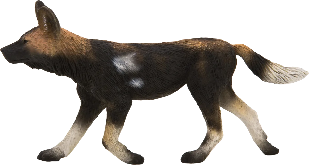 Mojo African Hunting Dog - image 1