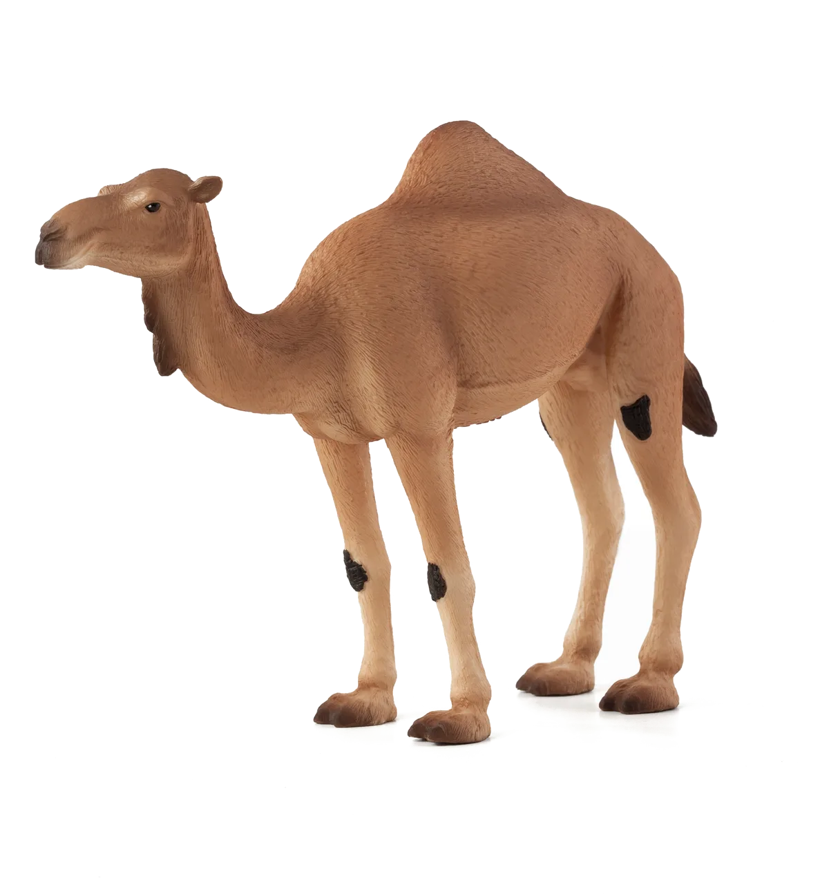 Mojo Arabian Camel - image 1