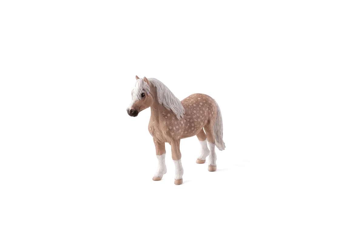 Mojo Welsh Pony - image 1