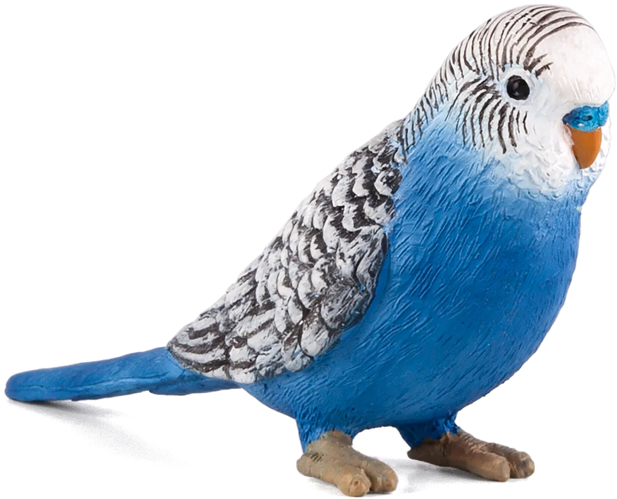Mojo Budgerigar, Blue - image 1