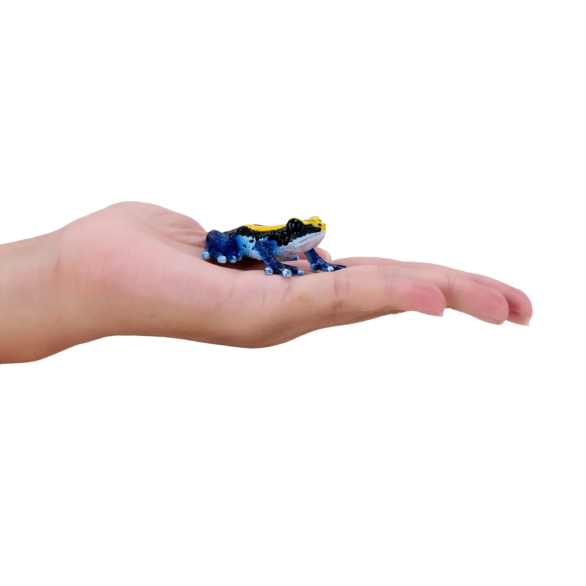 Mojo Poisonous Dart Frog, Blue - image 1
